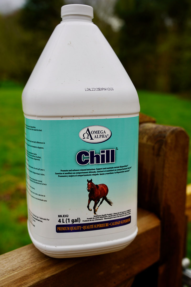 Chill - Image 2